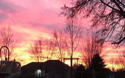 Light in the Suffering