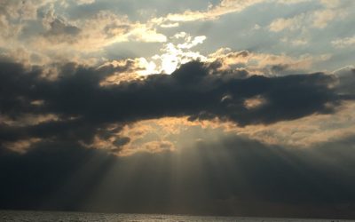 What Stands in the Way Becomes the Way