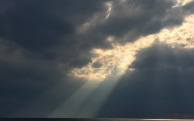 Darkness does not Exist