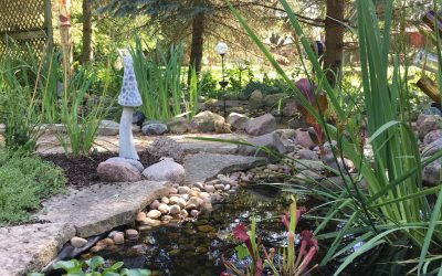 KP Counseling’s 20th Anniversary!