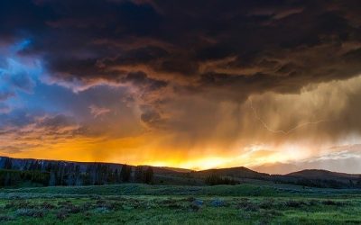 Directing Your Thoughts