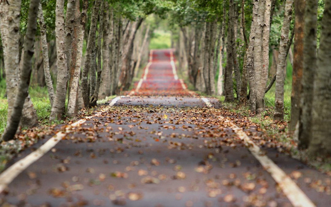 Empty Road